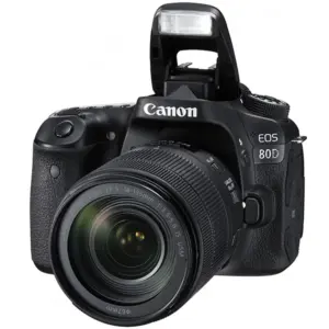 Professional DSLR Camera (Entry Model)